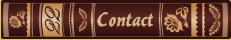 22  Contact